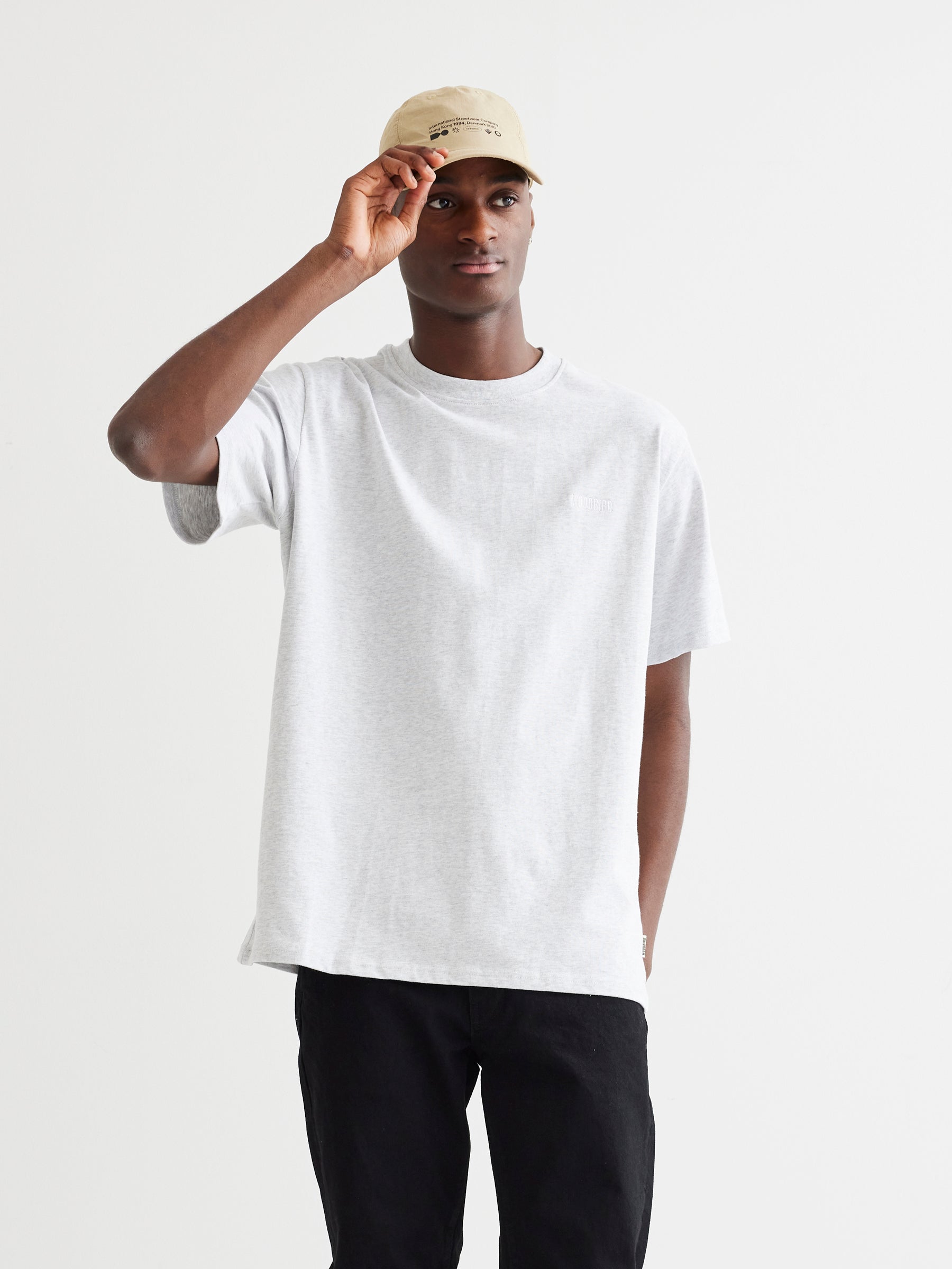 Baine Base Tee - Snow Melange