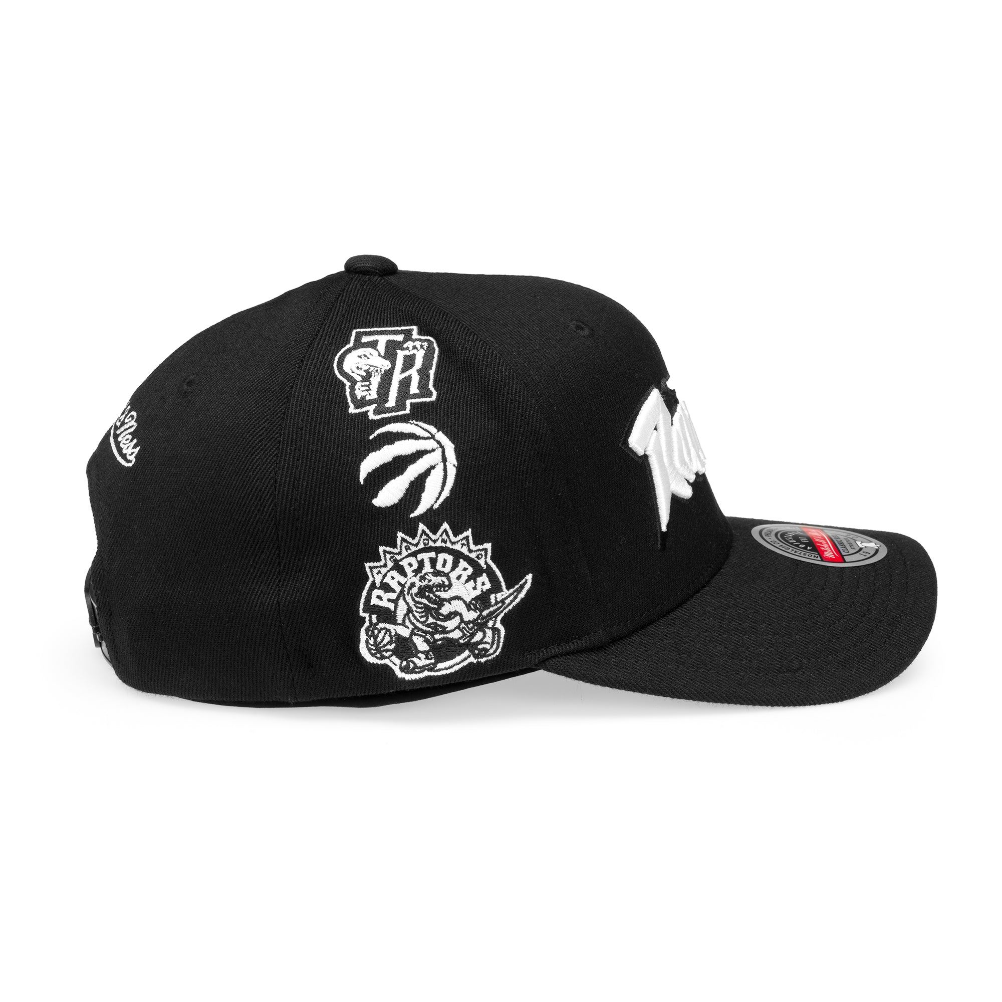 Logo Blast - Toronto Raptors Black