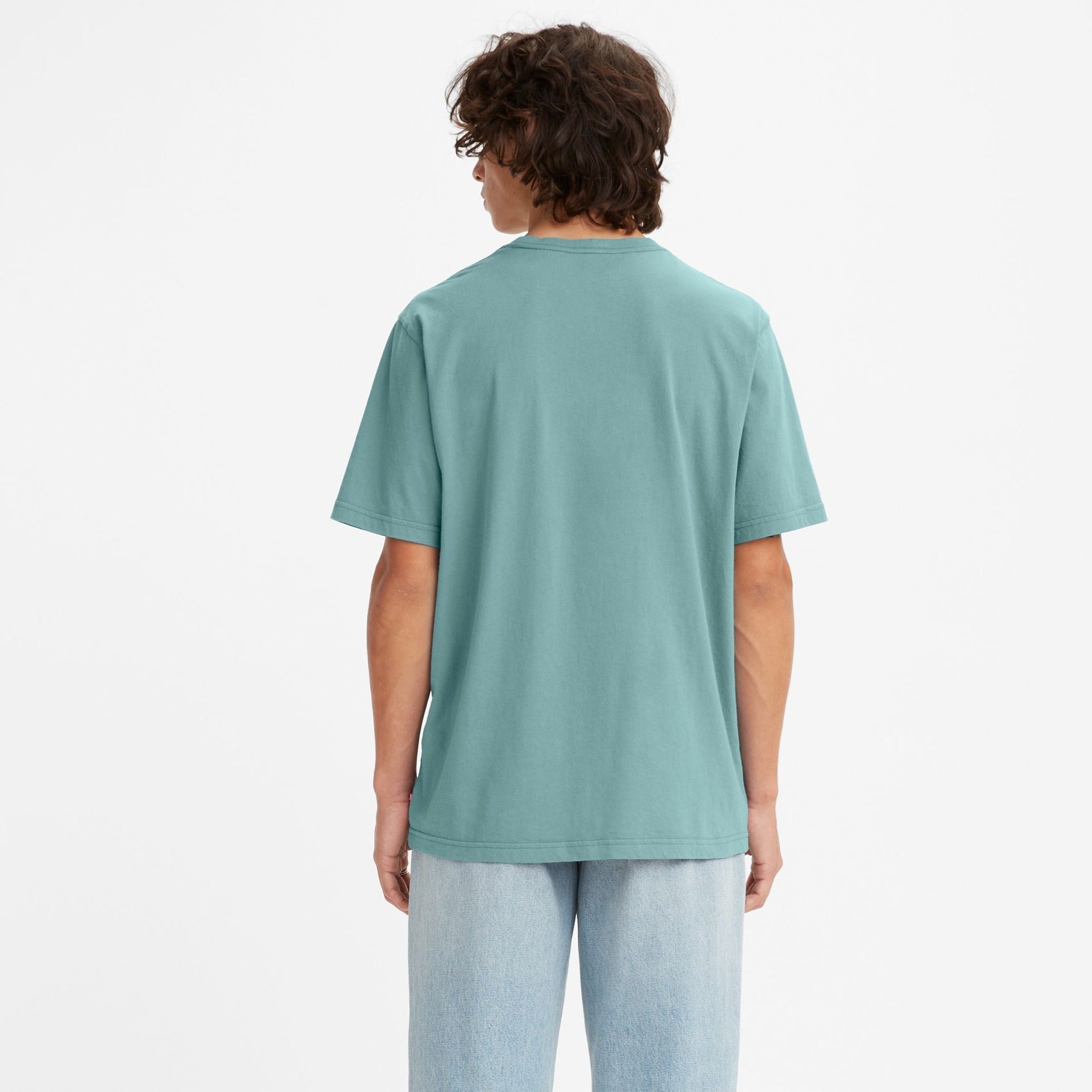 Relaxed Fitshort-Sleeve Tee Poster Chest - Pastel Turquoise